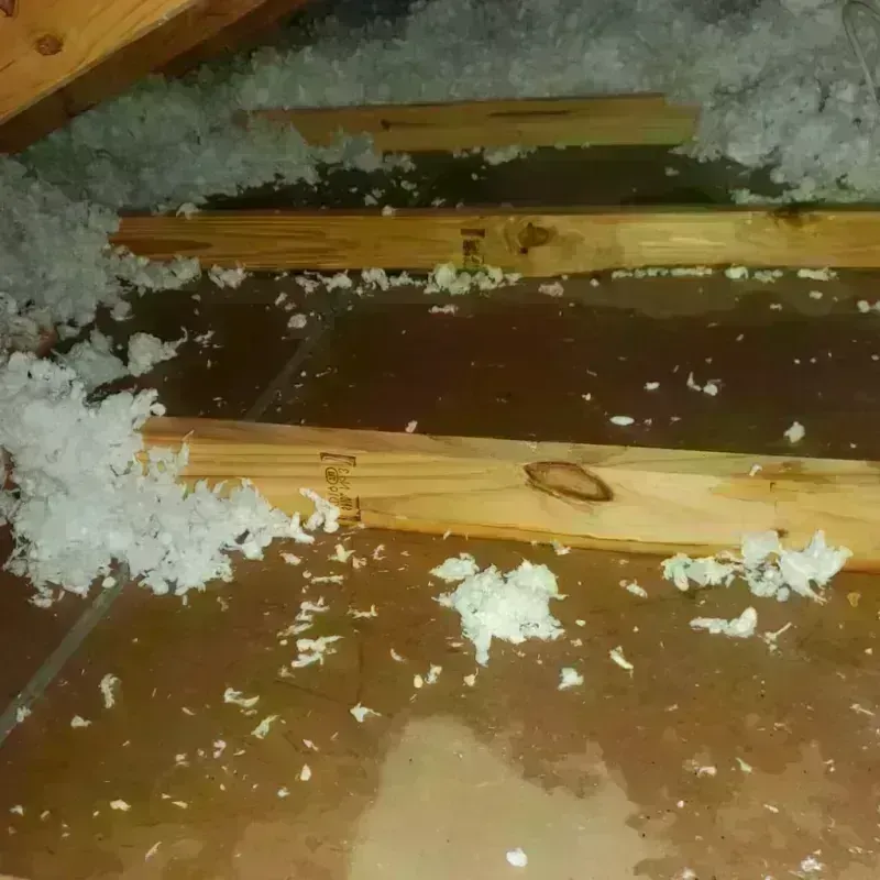 Attic Water Damage in Troy, TX