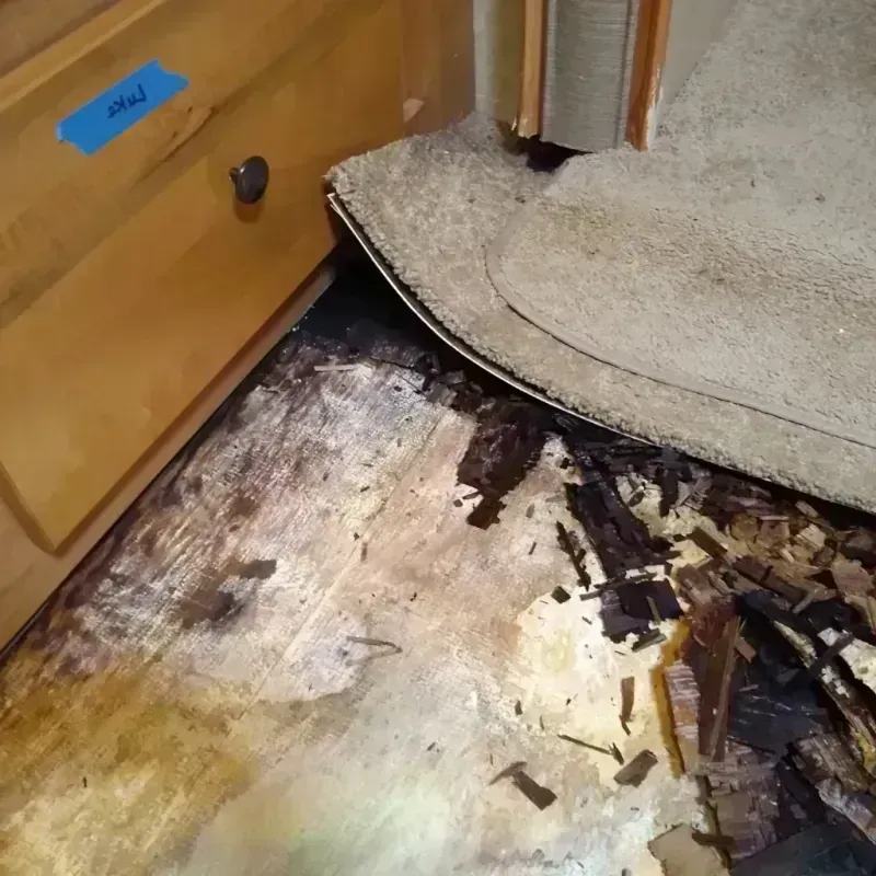 Wood Floor Water Damage in Troy, TX